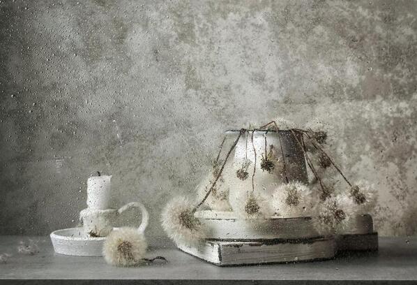 Photograph Olesya Khizhko Still Life on One Eyeland